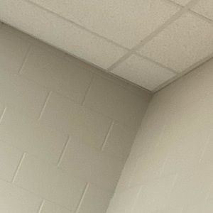 Meet your Posher, Randy